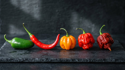 Five chillies on dark slate in order of heat: green jalapeño, red cayenne, orange scotch bonnet, red habanero and a gnarled super-hot pepper