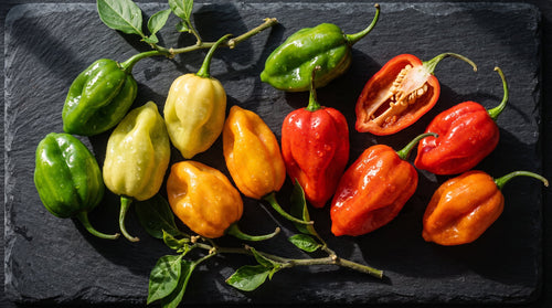 Scotch bonnet chillies on dark slate in every stage of ripeness from green to red, one halved to show the seeds and membrane